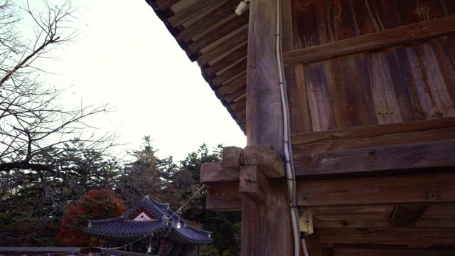 태양광이 비치는 전통 목조 건축물과 나무