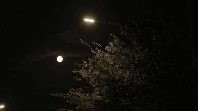 가로등과 보름달이 있는 밤하늘