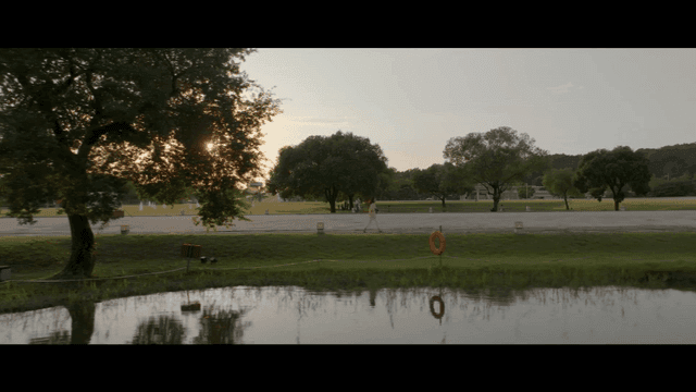 Woman taking photos in quiet park with trees and pond at sunset