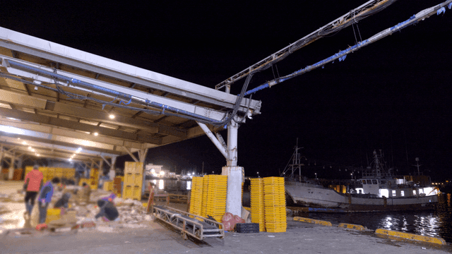 Dawn fish market where workers sort