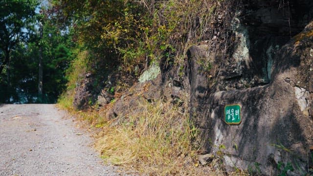 무성한 나무들로 둘러싸인 샘물터