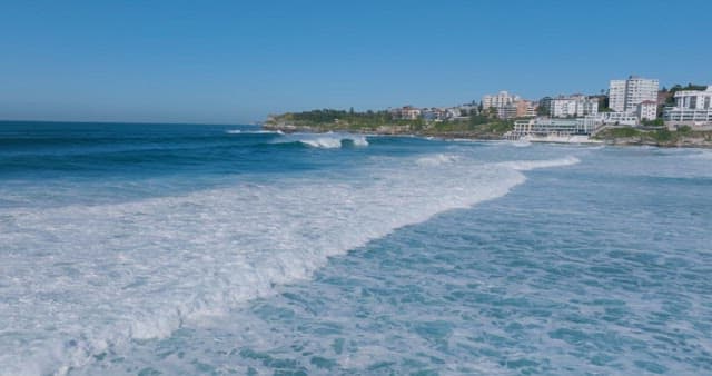 Coastal Landscape with Serene Ocean Waves