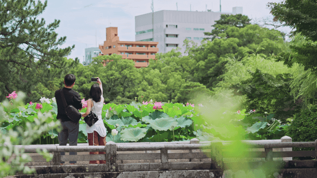 연꽃 정원에서 사진을 찍는 관광객들