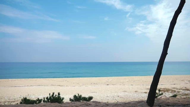 맑은 하늘과 한적한 해변 풍경