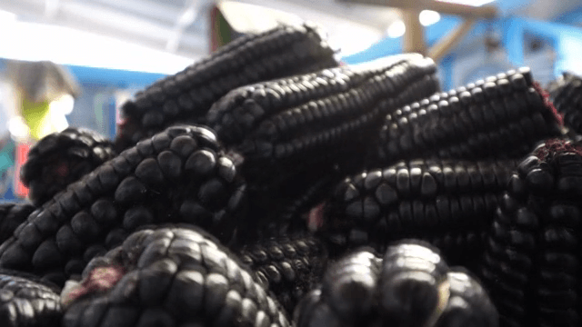 Fresh black corn displayed in a market