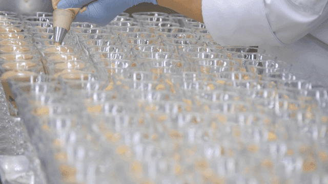Filling dessert cups with creamy mixture
