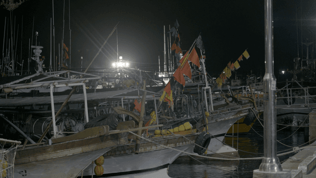 Fishing boats docked at night in a harbor