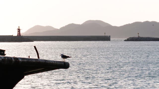 Seagulls resting on the boat with a lighthouse in the background