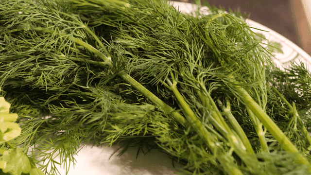 Fresh dill on a white plate