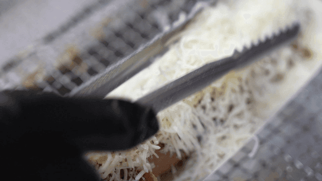 Sausage topped with plenty of cheese