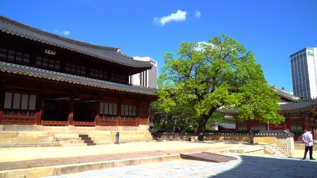 Seogeodang Hall in Deoksugung Palace next to a large tree under a clear sky