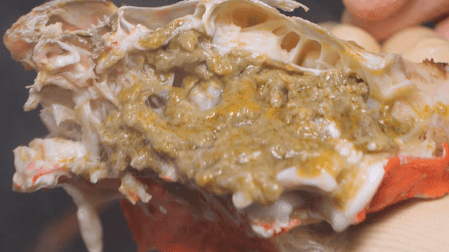 Fresh steamed snow crab innards