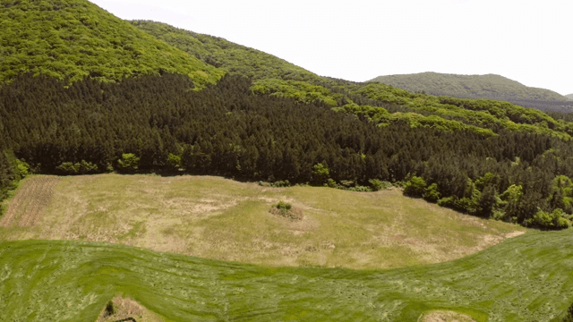 푸른 숲과 구릉지