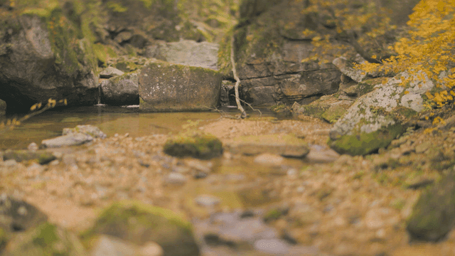 Tranquil stream flowing through rocks