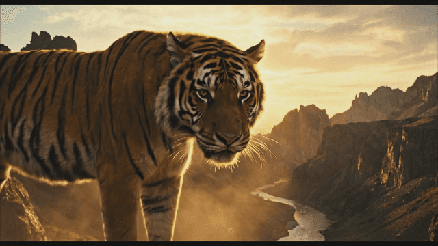 Majestic tiger standing on a rocky cliff