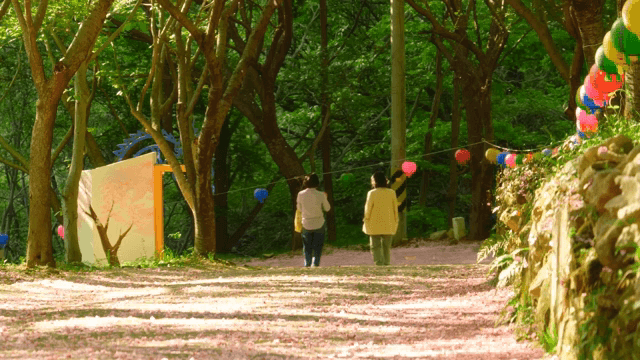 알록달록한 등불이 있는 숲길을 산책하는 사람들
