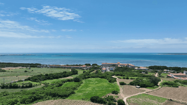 Coastal scenery with fields and sea