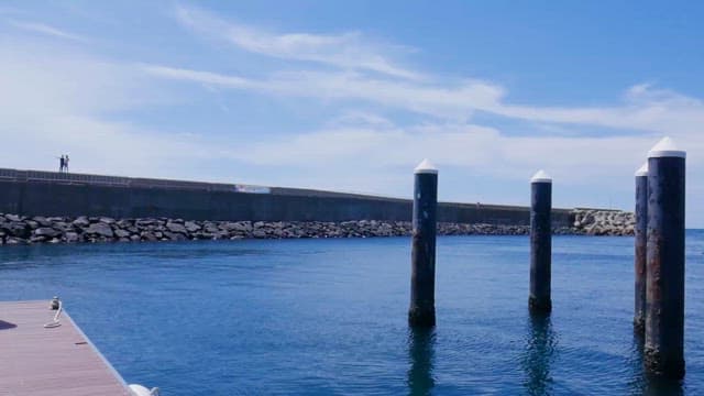 보트와 관광객이 있는 평화로운 항구 풍경