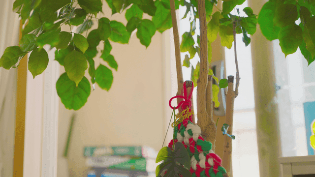 크리스마스 장식이 있는 실내 식물