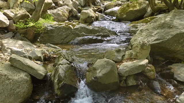 Tranquil stream flowing over rocks
