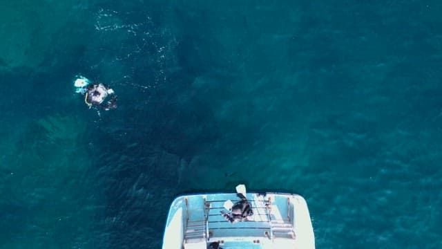 Divers Exploring Ocean from Boat