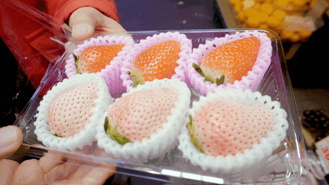 손에 들린 포장된 큰 만년설 딸기