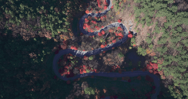 가을 단풍이 있는 구불구불한 숲길