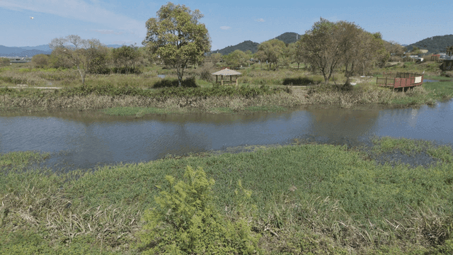 Peaceful countryside scenery with fields and river