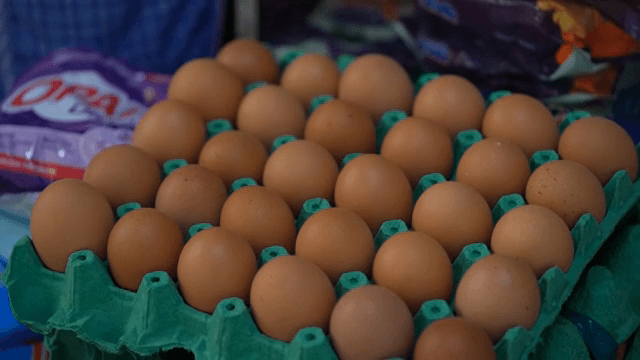계란이 정렬된 상자