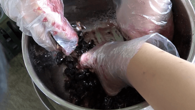 Crushing mulberries by hand