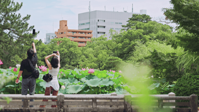 푸른 정원에서 사진을 찍는 관광객들