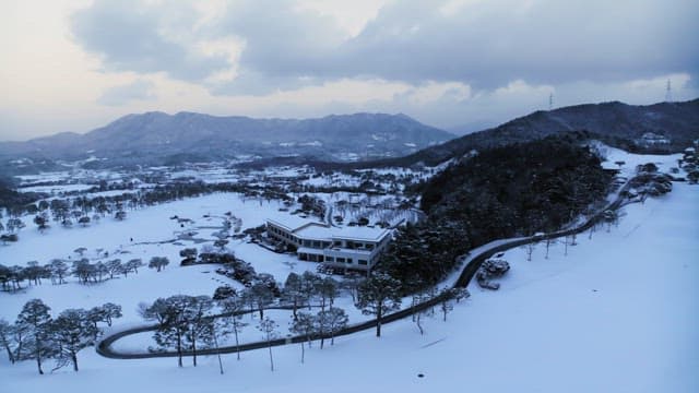 Snowy Landscape with a Winding Driveway