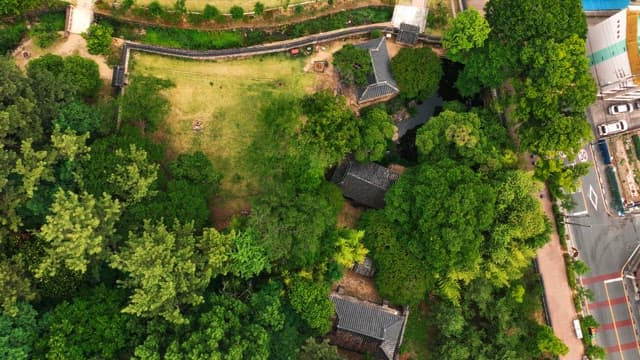 푸른 나무로 둘러싸인 한국 전통 가옥