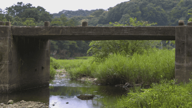 Calm river flowing under bridge