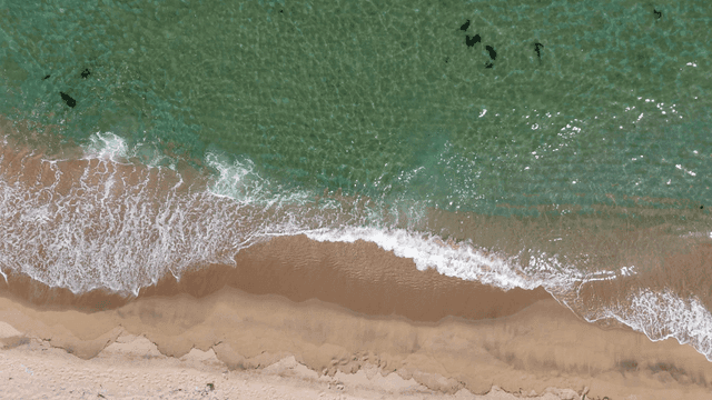 모래사장에 부딪히는 잔잔한 파도