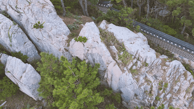 소나무와 한국 전통 성곽이 있는 바위산