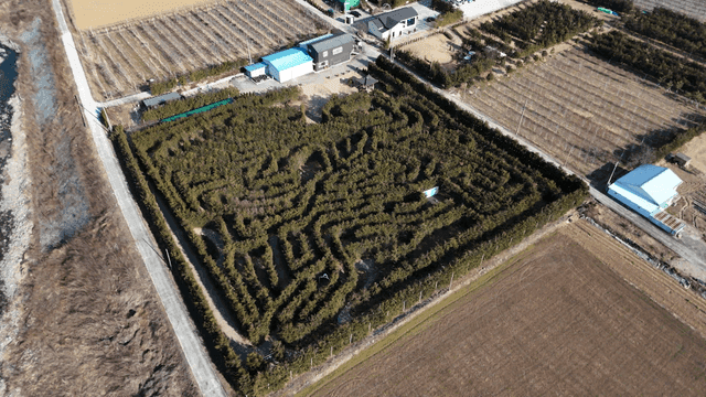 Aerial view of a maze in a rural farm