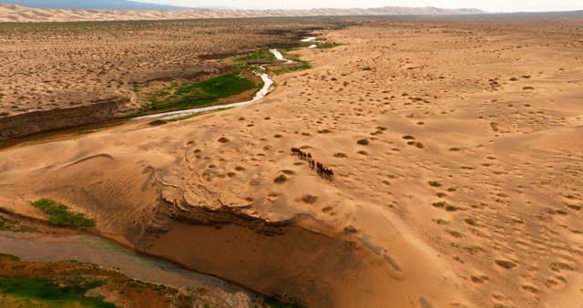 Caravan of camels crossing a vast desert