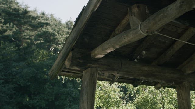 울창한 숲속의 그림자가 일렁이는 목조 건축물 천장