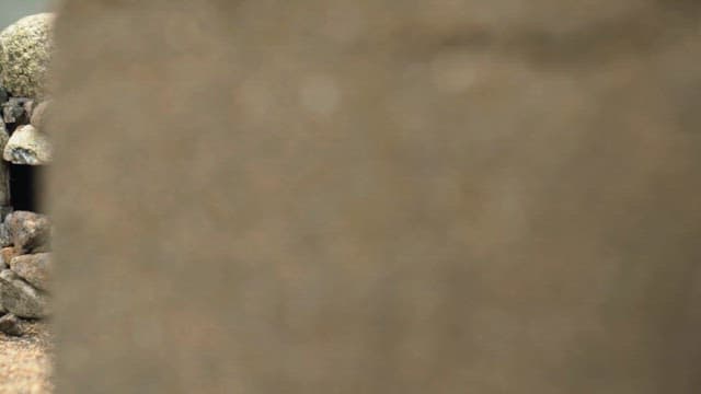 흙바닥 위에 있는 돌로 만든 작은 집