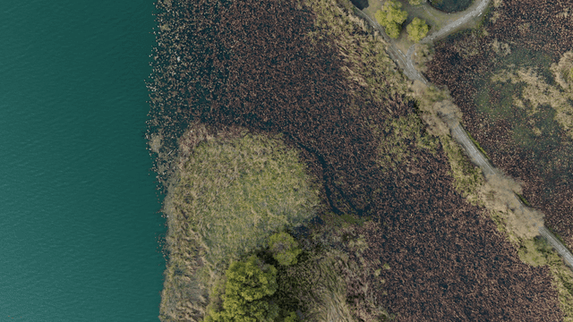 물가에 푸른 공원의 항공 뷰