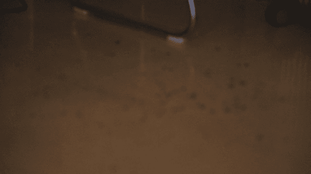 나무 바닥에 흩어진 잔해