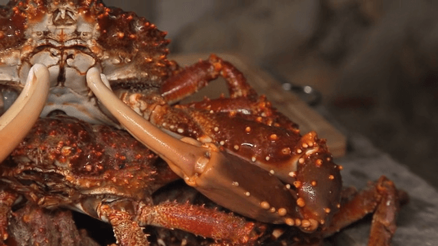 용기에 담긴 신선한 게 무더기