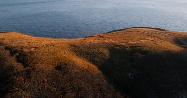 평화로운 해안 언덕과 바다 풍경