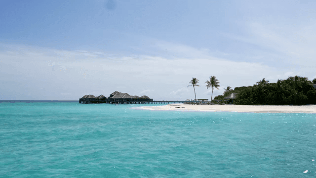 Tropical beach with overwater bungalows