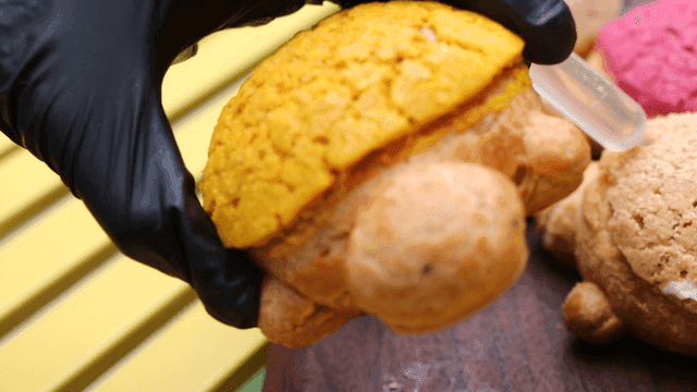 손으로 집어 든 거북이 모양의 소보로빵