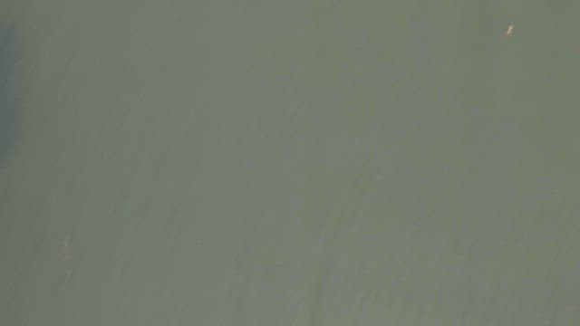 나무로 둘러싸인 호수