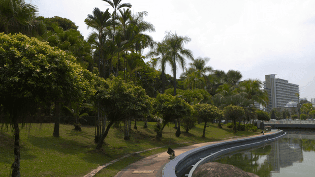 Serene park with lush greenery and a pond