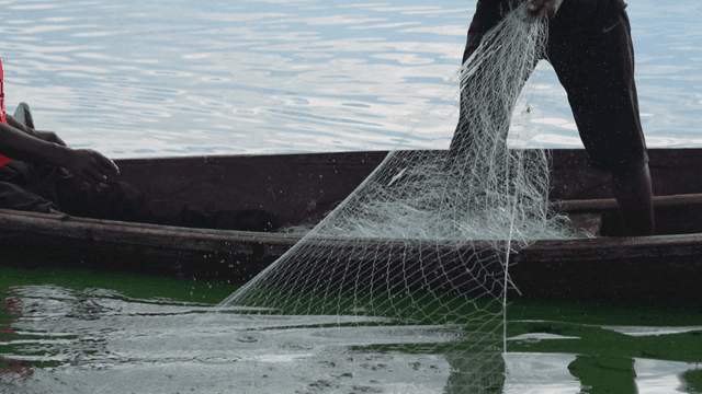 고요한 호수에서 그물을 던지는 어부들