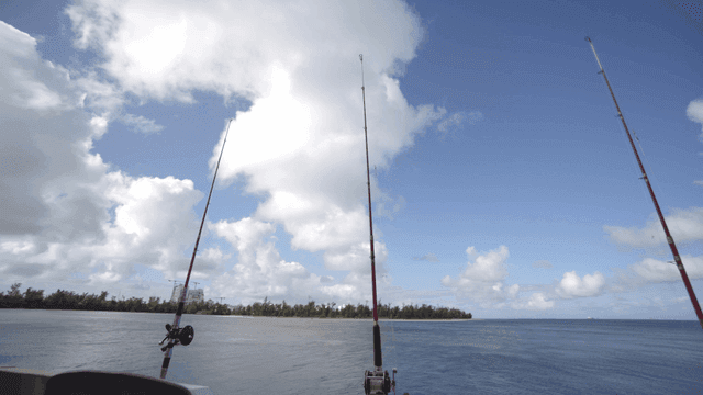 바다를 배경으로 한 낚싯대